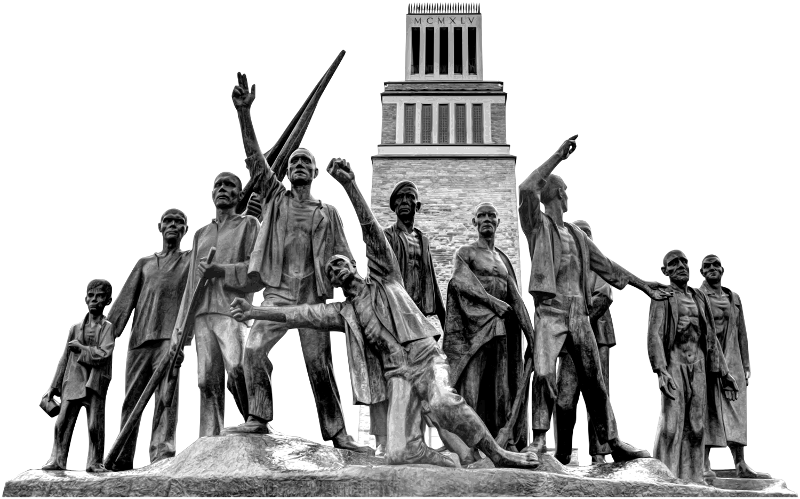 Buchenwald 2017